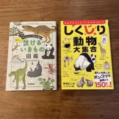 Item thumbnail for item 9faec25b-60bb-4634-a5de-edc3c0280ccc