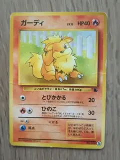 【送料無料】旧裏　ガーディ