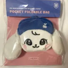 IVE minive ぬいぐるみバッグ　トレカ付 IVE リズ minive ポップアップ限定 ぬいぐるみバッグ トレカ