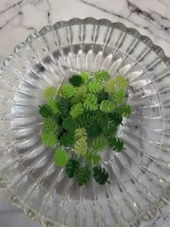 ネイルパーツ デコパーツ モンステラ