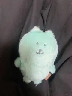 ナガノくま 推しカラー 水色
