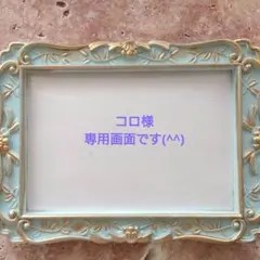 コロ様　専用画面となります(^^)