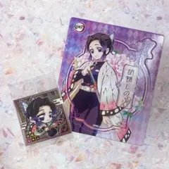 鬼滅の刃　胡蝶しのぶまとめ売り2点セット