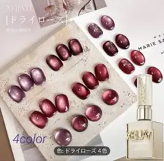 新品4本セット　赤　紫　ジェルネイル　マグネットジェルネイル　うる艶　微粒子　美