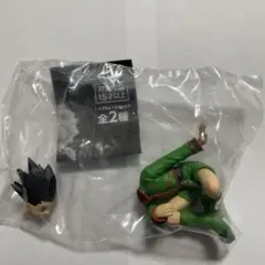 HUNTER × HUNTER すわらせ隊りある ゴン