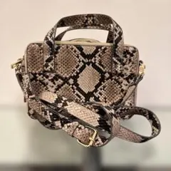 JEANASIS ヘビ柄ショルダーバッグ　ハコショルダーミニ　パイソン柄