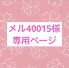 メル40015様 リクエスト 5点 まとめ商品