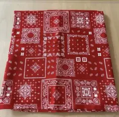 トーカイ　カット生地　約110×約100