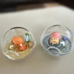 ポケモン テラリウムコレクション