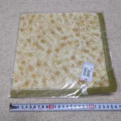 Item thumbnail for item b3ad2231-e696-42d5-bbd3-27da937baa35