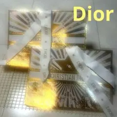 CHRISTIAN DIOR ショッパー2つセット