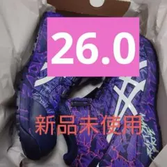 ASICS 安全靴BOA 2023限定モデル新品未使用 超希少レディース23.5 