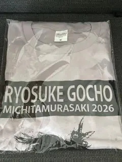 新品未開封】indigo la Endフェイク後鳥Tシャツ 2026 Lサイズ - メルカリ