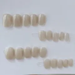 全サイズ　ワンカラー