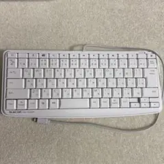 ELECOM TK-LCM02 ホワイト ライトニング接続 静音キーボード