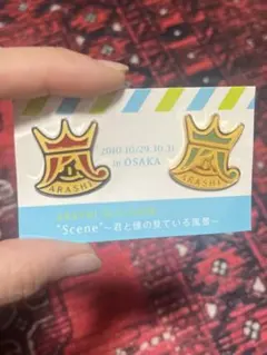 【限定レア】嵐ARASHI/大阪限定2010ピンバッジセット/ジャニーズスタート