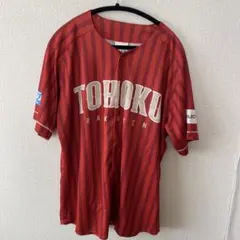 Item thumbnail for item 115d7b90-ad23-4f94-8180-610ba73d6903