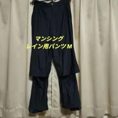 Item thumbnail for item 248dc17a-2cf9-4564-8b09-068d1c94f135