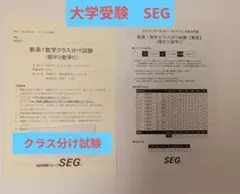 2026年最新】SEG テキストの人気アイテム - メルカリ