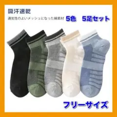 Item thumbnail for item 269e8819-38b4-4bcb-b4e2-b9b27d1728e4