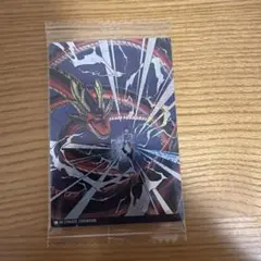 Debtor様 リクエスト 2点 まとめ商品