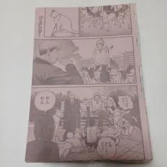 【チェンソーマン】 ジャンプ 本誌 切り抜き 匿名配送】チェンソーマン ジャンプ本誌 切り抜き 扉絵 カラーページ