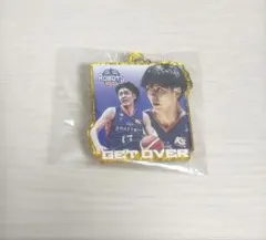 茨城ロボッツ　駒沢颯