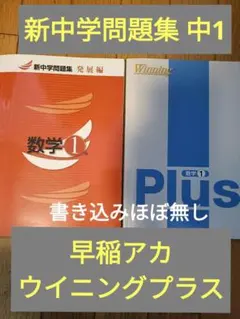 2026年最新】早稲アカ 特訓 中3の人気アイテム - メルカリ
