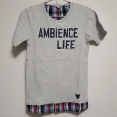 クリフメイヤー キッズ Tシャツ 150