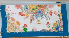 Item thumbnail for item 94afa7db-7167-40d4-84cf-03339daf6166