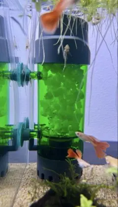 【新品・箱無し】 投げ込み式 水槽用流動フィルター