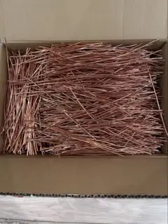 Item thumbnail for item 8c5c8bbd-9fb2-4301-aa46-ea0564ea06e8