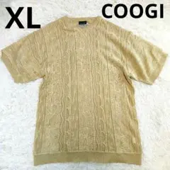 COOGI クージー【希少】【オーバーサイズ】3Dニット　サマーニット　半袖 クージー COOGI 3Dニット 半袖セーター ブラウン ビッグサイズ XXXL