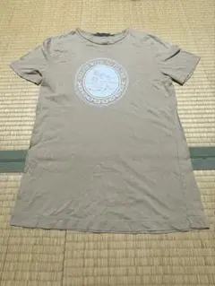 ZARA woman 半袖 Tシャツ ベージュ
