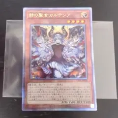 2025年最新】赫の聖女カルテシア イラスト違いの人気アイテム