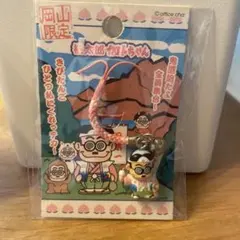 2025年最新】カトちゃん ストラップの人気アイテム - メルカリ