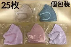 【個包装】【25枚】厚手 3D 立体 不織布 カラー マスク ノーズワイヤー
