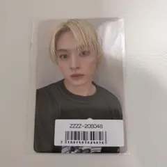 Stray Kids スキズ DO IT リノ ソニミュ 店舗特典