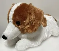 コーイケルホンディエのおでこちゃん　タグ付きのサムネイル