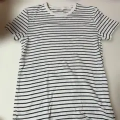 ボーダー Tシャツ 半袖 ホワイト ブラック