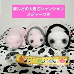 シャンシャン ぬいぐるみ 上野動物園 パンダ 3頭セット - メルカリ