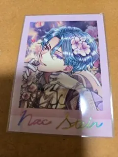 あくねこ ぱしゃこれPREMIUM第2弾 ナック・シュタイン