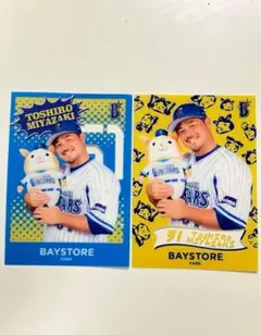 【当時物】DeNAベイスターズ 宮﨑敏郎選手#51 BAY STOREカード