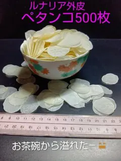 ルナリア外皮500枚激安..°♡