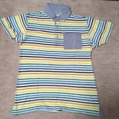 gym master ストライプ ポロシャツ