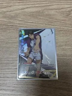 【公式スリーブ付き】ハイキュー!!バボカ 白鳥沢 牛島若利 頂