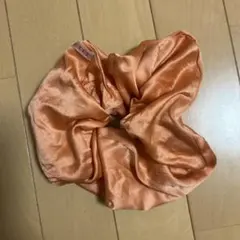 Item thumbnail for item 86021f04-7c56-4c40-9002-59b4ee33d957