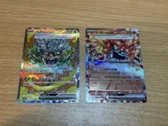 オーガポン みどりのめんex SAR SV8a テラスタルフェスex
