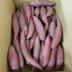サツマイモ 茨城県産 シルクスイート 箱含む5キロのサムネイル