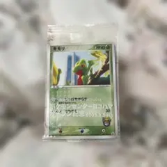 ポケモンセンターヨコハマオープン記念 キモリポケモンカードゲーム